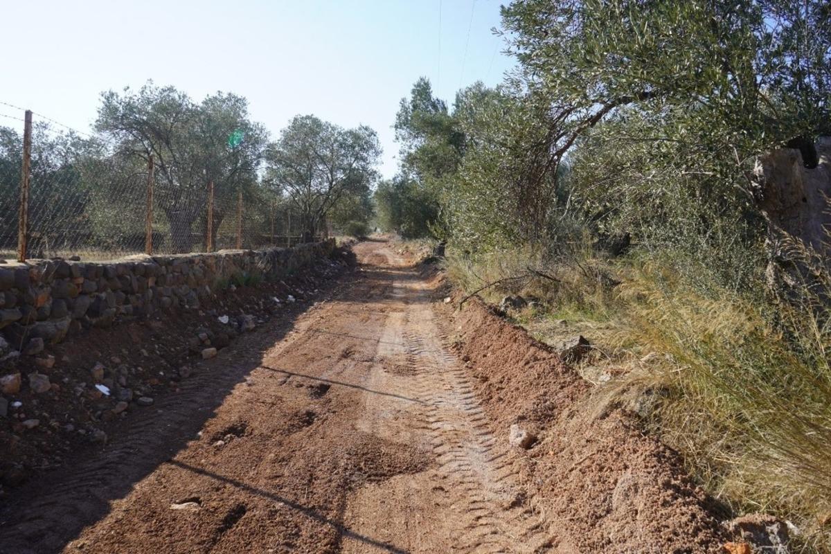 Ayvalık Belediyesi Cunda Adası&rsquo;nda zeytinlikler arasındaki yollara el attı