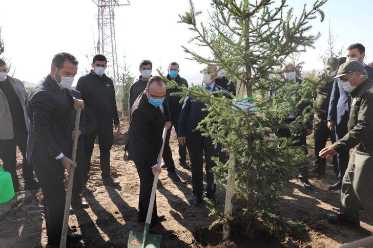 Vali Yırık:" Elazığımızın her yerini ağaçlandıracağız" G1