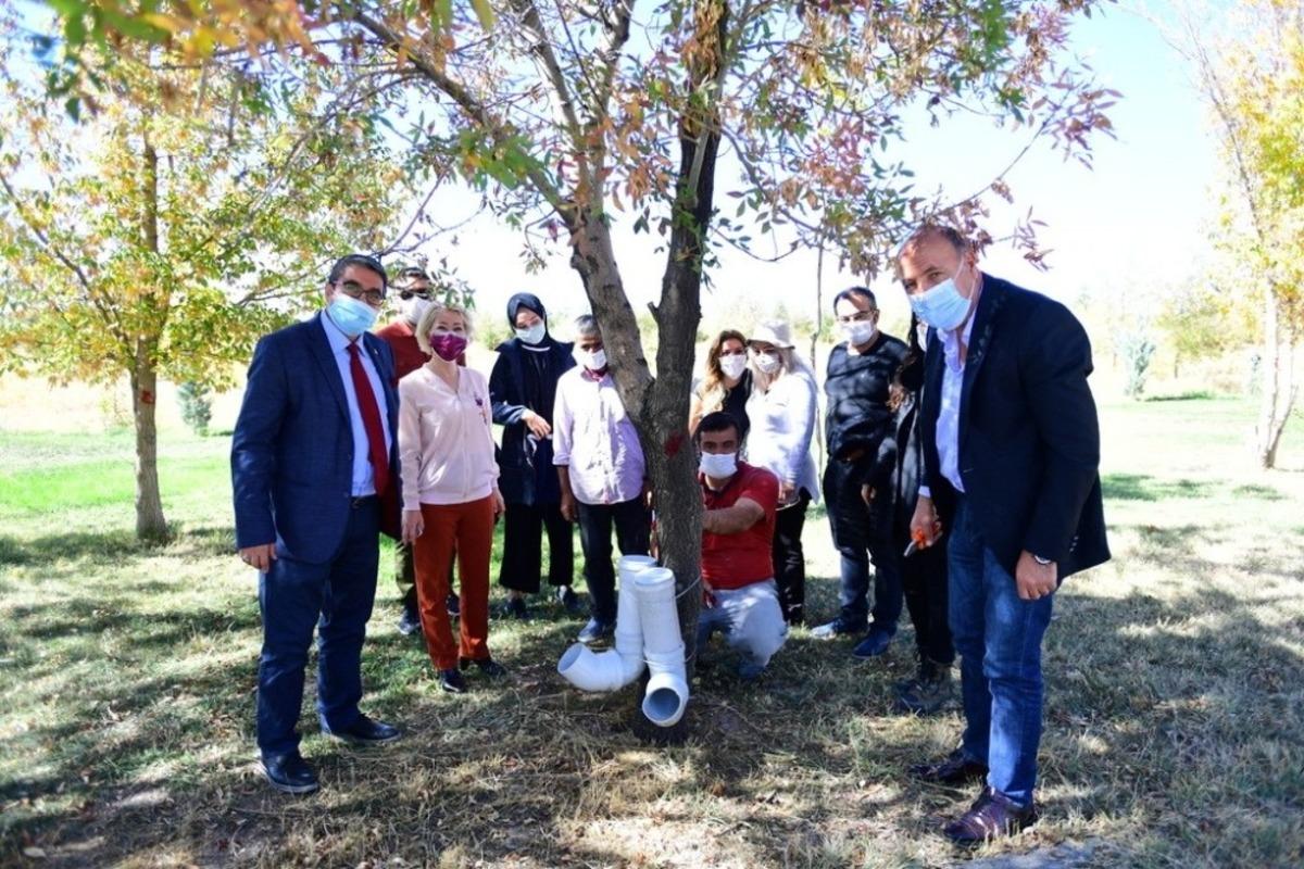 Birlik Vakfı Van Şubesinden YY&Uuml;&rsquo;deki sokak hayvanlarına destek