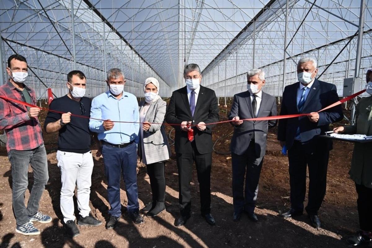 Osmaniye&rsquo;de modern muz serası kuruldu