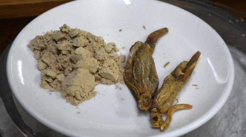 Pandemi döneminde ginsenge talep arttı! Kilosu 2 bin TL'den satılıyor