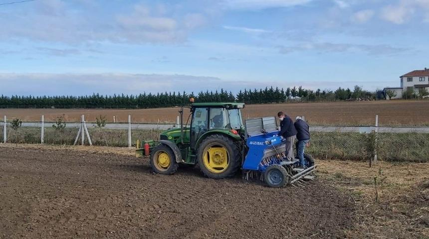 Yerli ve milli yulaf tohumları toprakla buluştu