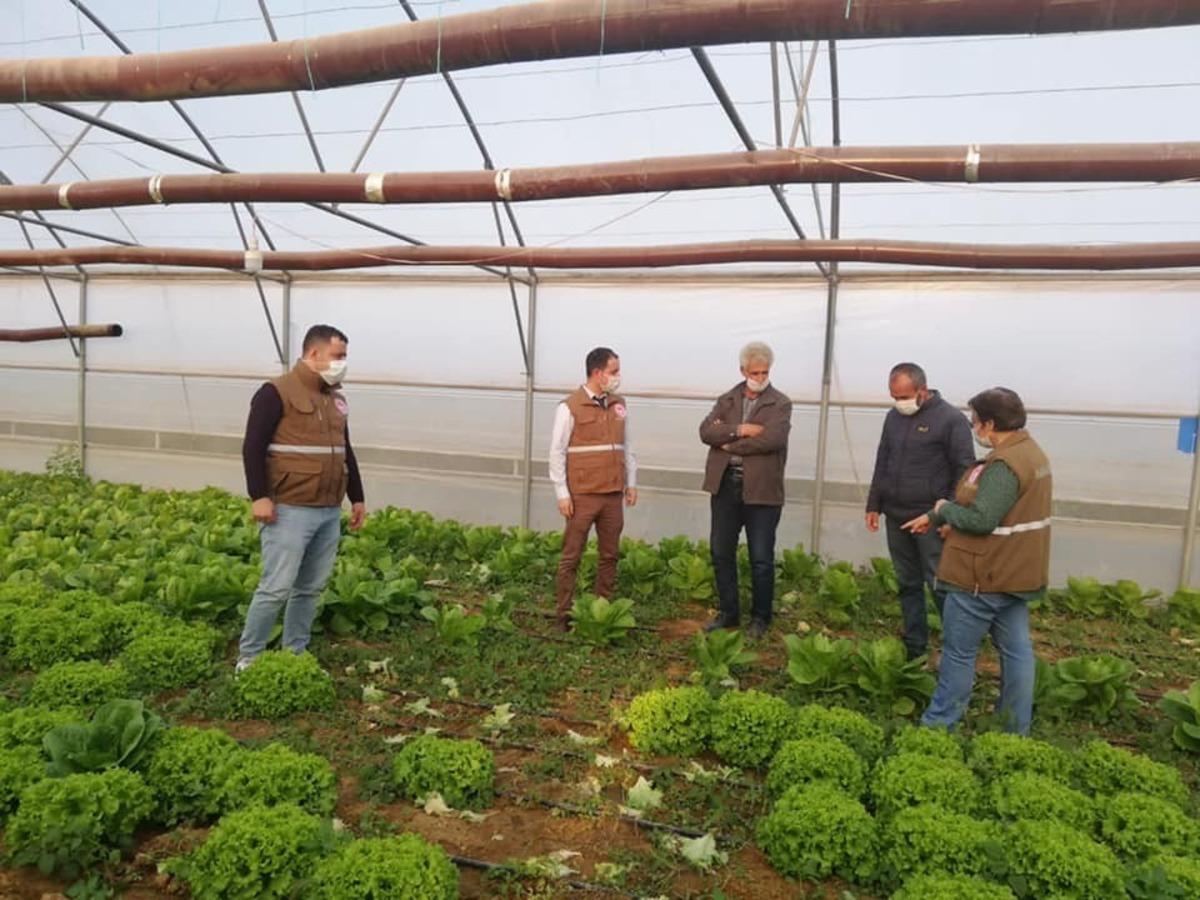 Alaşehir&rsquo;de seracılık gelişiyor