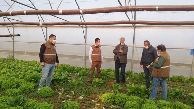 Alaşehir’de seracılık gelişiyor