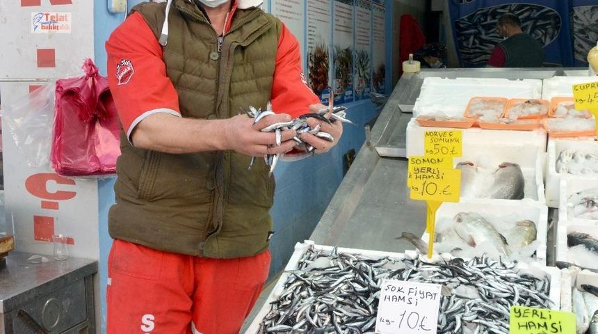 Fatsa’da yerli hamsi 10 TL