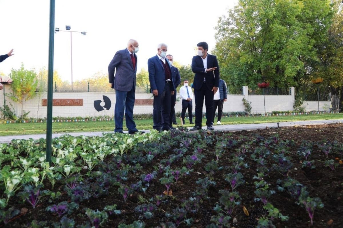 Battalgazi&rsquo;ye 25 bin k&ouml;k s&uuml;s bitkisi dikiliyor