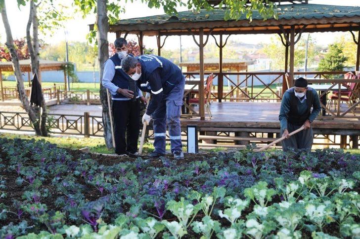 Battalgazi’ye 25 bin kök süs bitkisi dikiliyor G3