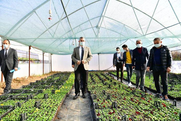 Yeşilyurt Belediye, kendi çiçeğini üretiyor G1