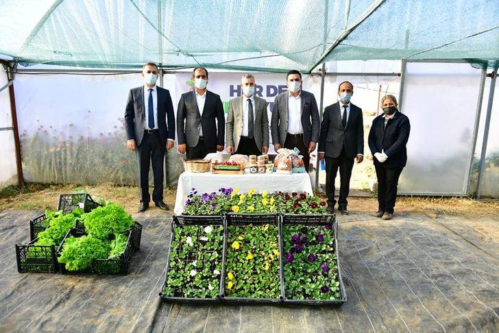 Yeşilyurt Belediye, kendi çiçeğini üretiyor G3