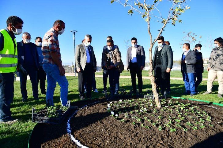 Yeşilyurt Belediye, kendi çiçeğini üretiyor G4