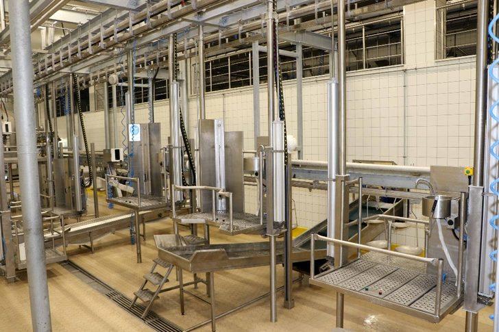 Hijyenik koşullarla mezbahada et kesimlerine devam ediliyor G3