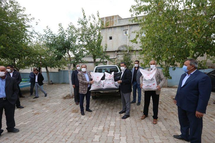 Büyükşehir sertifikalı tohum üretimine devam ediyor G2