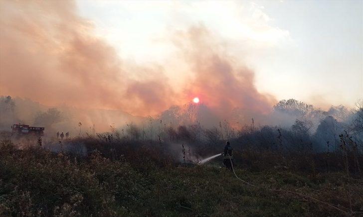 Muğla'da sazlık alanda yangın çıktı G1