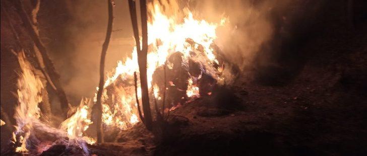 Çatak’ta ot ve ahır yangını G1