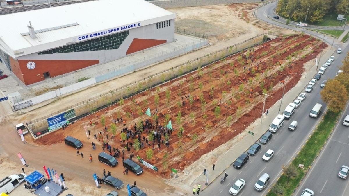 G&ouml;ll&uuml;ce&rsquo;ye orman, Yalangoz&rsquo;a lavanta bah&ccedil;esi