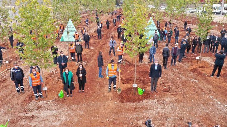 Göllüce’ye orman, Yalangoz’a lavanta bahçesi G3