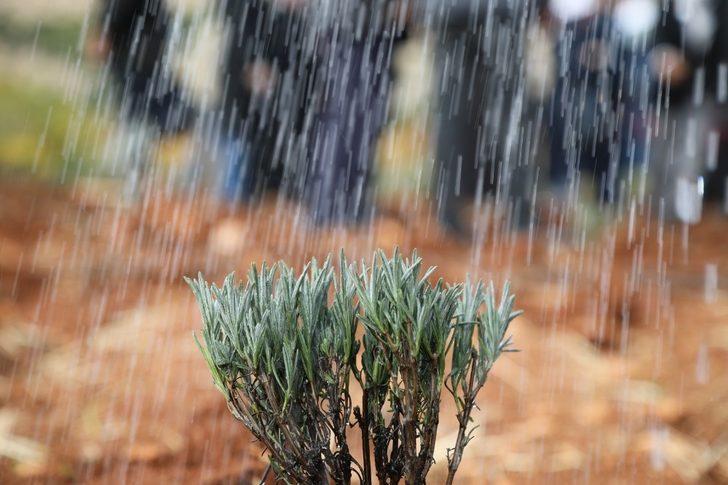 Göllüce’ye orman, Yalangoz’a lavanta bahçesi G5