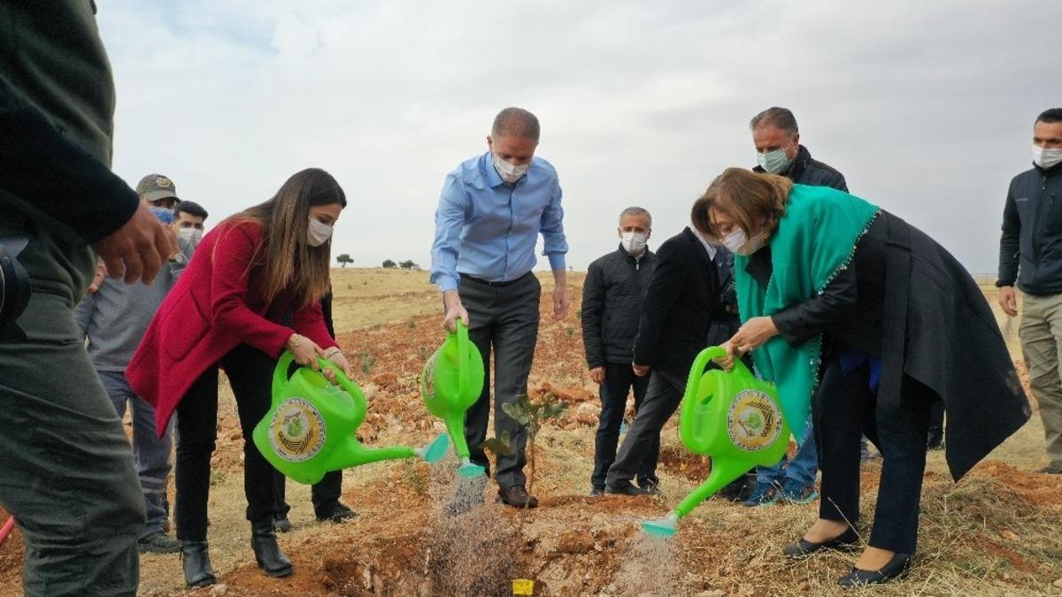 Gelir getirici 700 bin fidan Oğuzeli&rsquo;nde toprakla buluştu