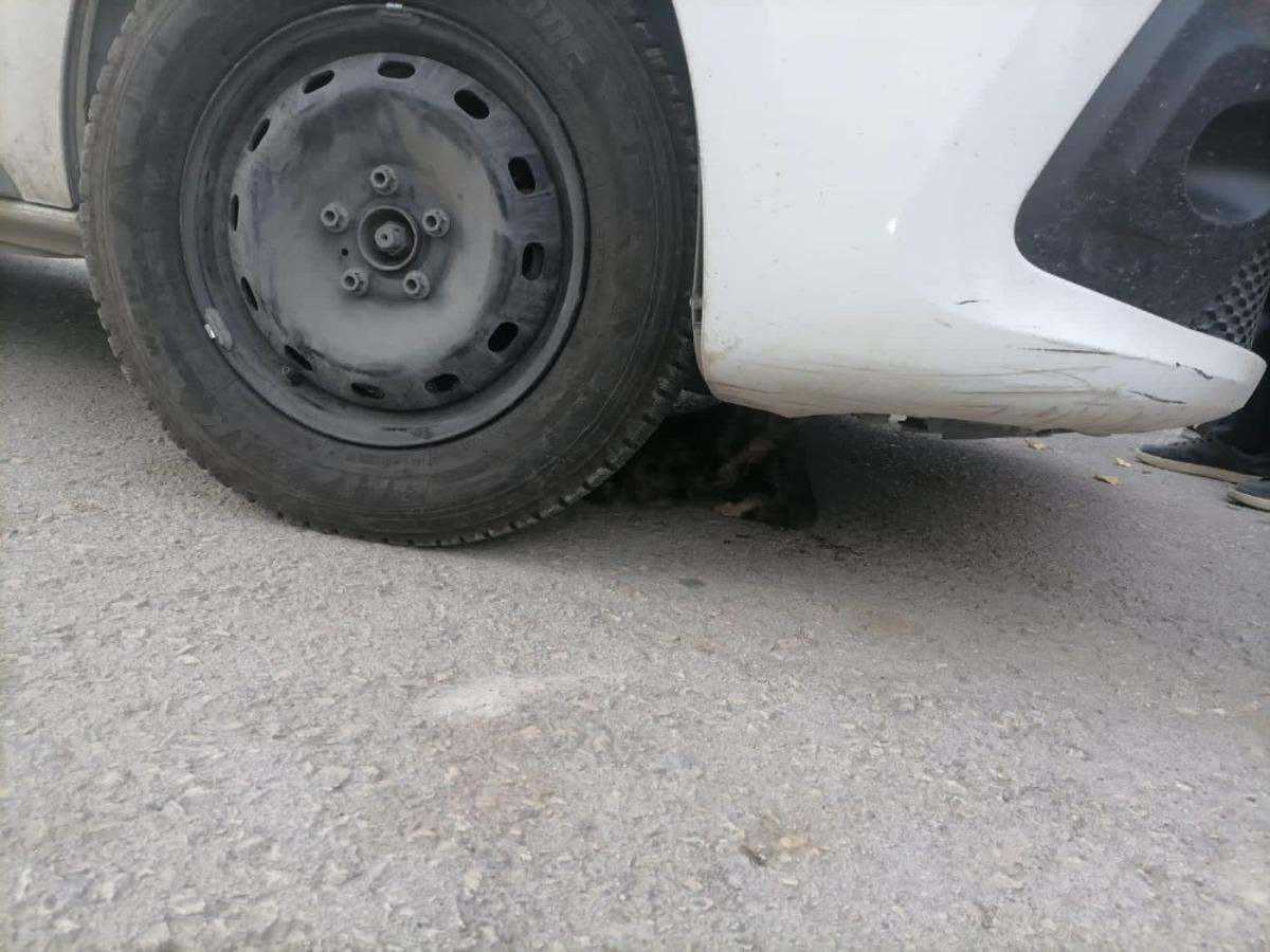 Ayağı ara&ccedil; motoruna sıkışan kedi kurtarıldı