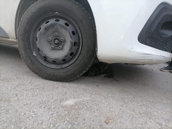 Ayağı araç motoruna sıkışan kedi kurtarıldı G3