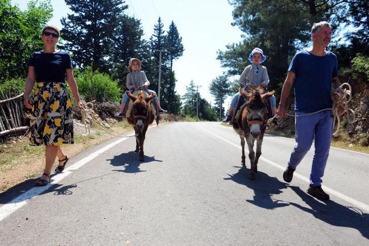Avusturalya'dan geldi, eşşeklerle turistleri gezdiriyor G2