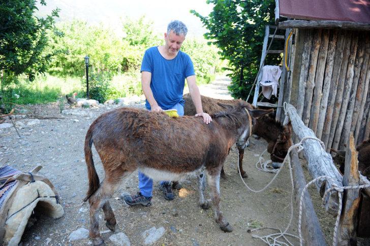 Avusturalya'dan geldi, eşşeklerle turistleri gezdiriyor G4