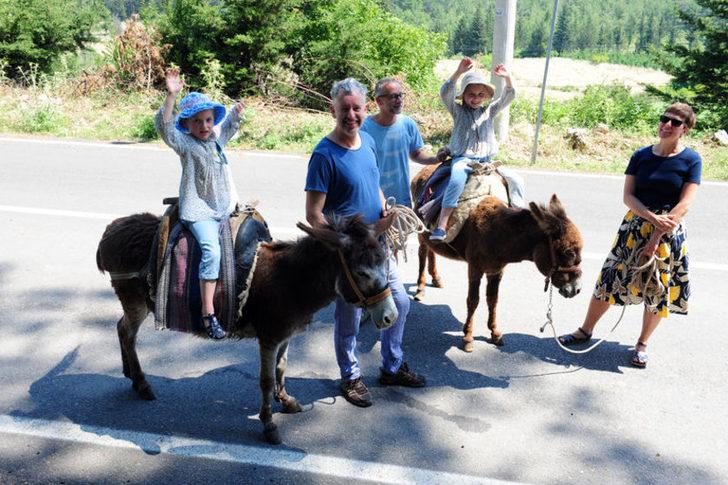 Avusturalya'dan geldi, eşşeklerle turistleri gezdiriyor G5