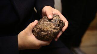 Fiyatı altınla yarışan Bayburt Kehribarı'na Çin talip oldu