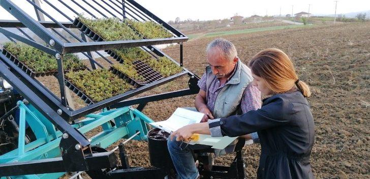 Biberiye fideleri toprakla buluşmaya devam ediyor G4