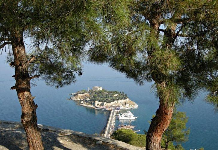 Tarihi Güvercinada’nın doğal çiçekleri açmaya başladı G2