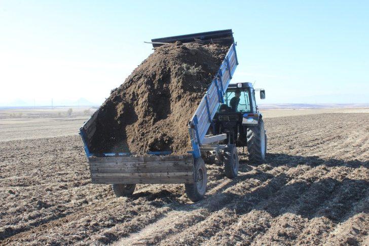 Ağrılı çiftçiler topraktan verim almak için hayvan gübresi kullanıyor G2
