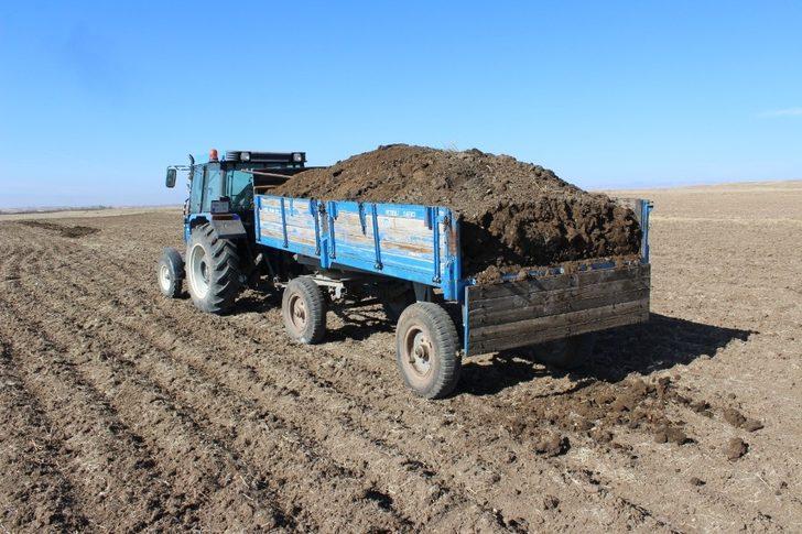 Ağrılı çiftçiler topraktan verim almak için hayvan gübresi kullanıyor G3