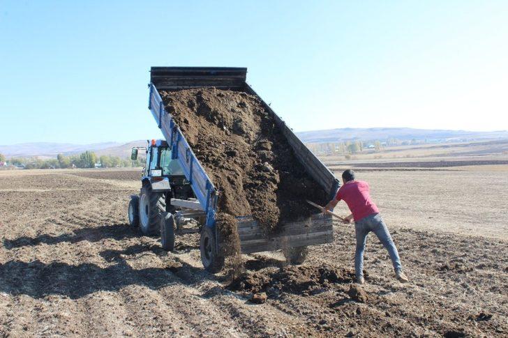 Ağrılı çiftçiler topraktan verim almak için hayvan gübresi kullanıyor G4
