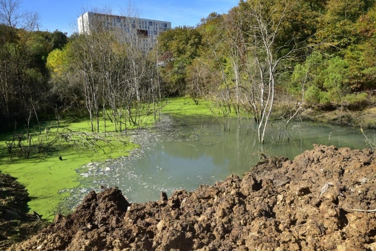 OM&Uuml;&rsquo;de bataklığa d&ouml;n&uuml;şen alan piknik yeri yapılıyor