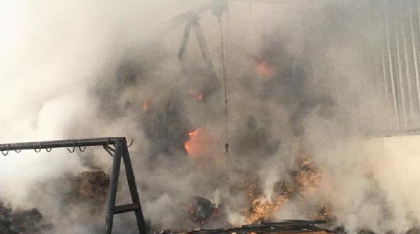 Ahırda yangın &ccedil;ıktı, 2 b&uuml;y&uuml;kbaş &ouml;ld&uuml;