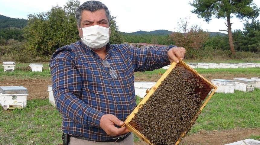 Koronavirüs tedavisinde siyah bal uyarısı! 'Ancak laboratuvarda anlaşılır'