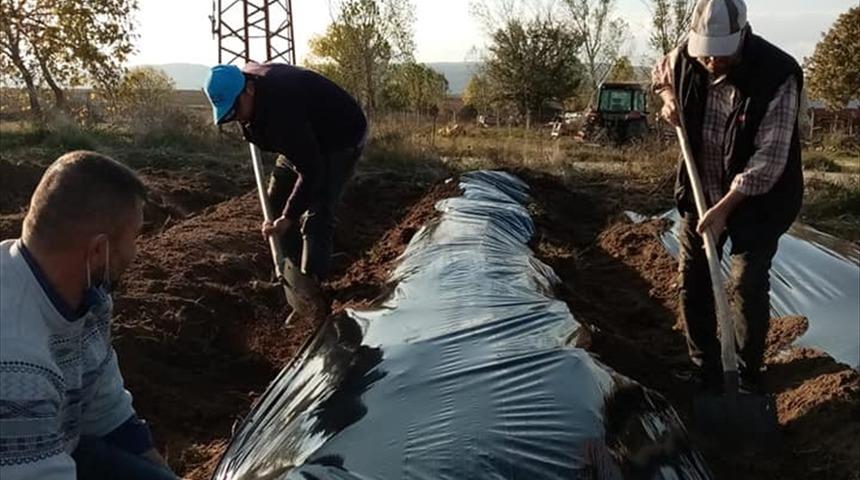 Edirne'de köylüler her mevsim ürün veren çilek üretimiyle kazanacak