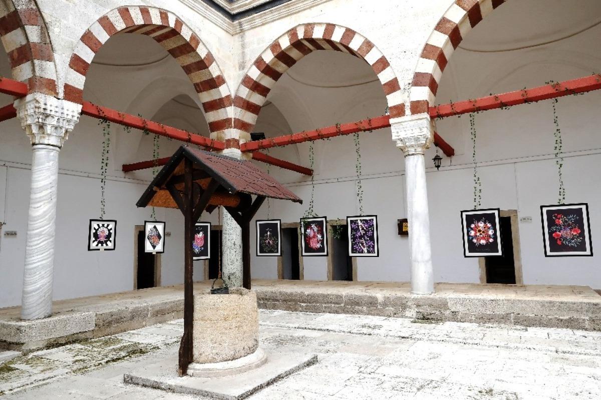 Tıp ile g&uuml;zel sanatlar &ldquo;plantomy&rdquo; sergisinde buluştu