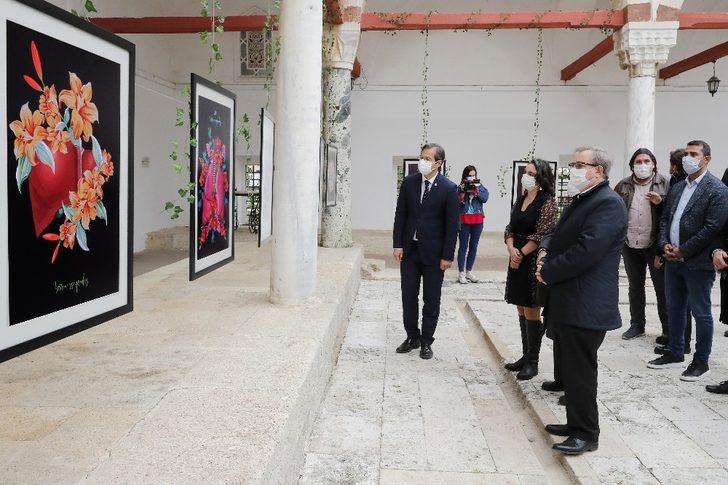 Tıp ile güzel sanatlar “plantomy” sergisinde buluştu G2