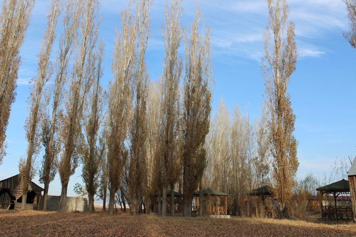 Ağrılı fotoğraf severler çektikleri fotoğraflarla sonbaharı yansıttılar G2
