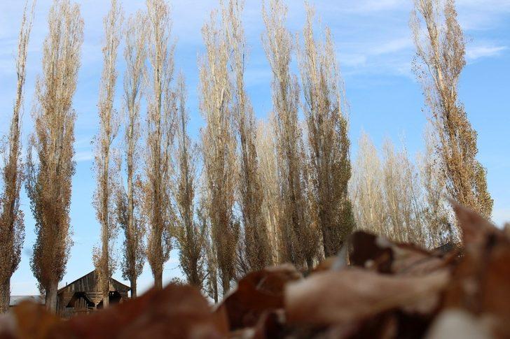 Ağrılı fotoğraf severler çektikleri fotoğraflarla sonbaharı yansıttılar G3