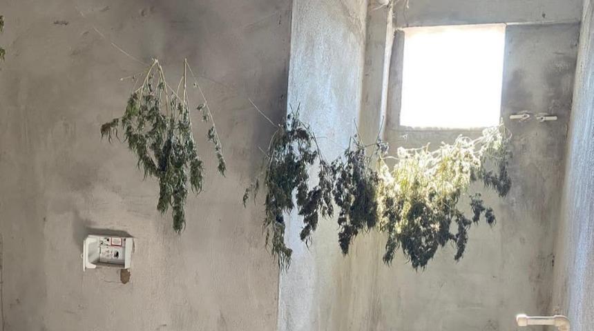 Hatay&rsquo;da uyuşturucu operasyonu