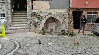 İstanbul'da hayrete düşüren görüntü! Üzerine bina yapmışlar