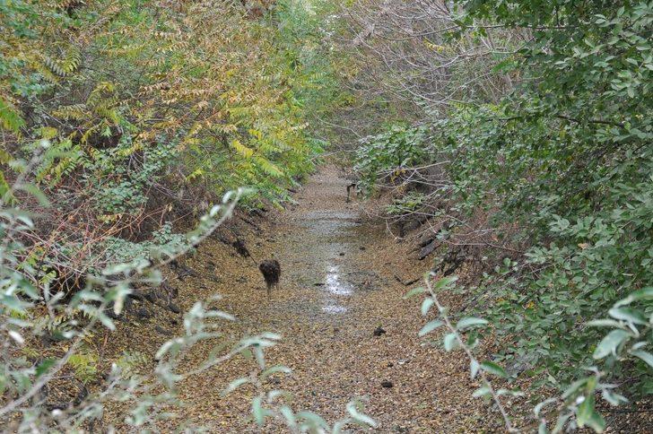 Eskişehir’de kuraklık tedirgin ediyor G5