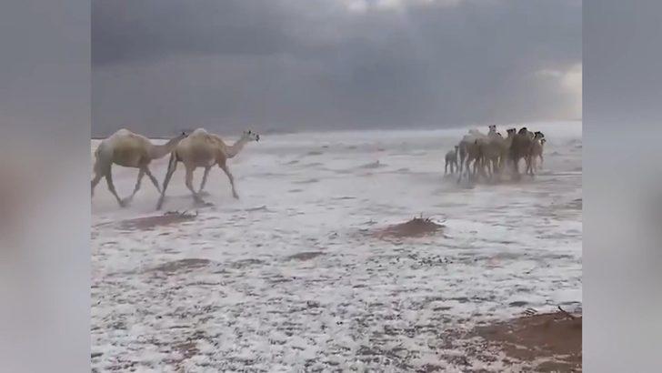 Karla kaplı çölde develerin yürüyüşü izlenme rekorları kırdı G3