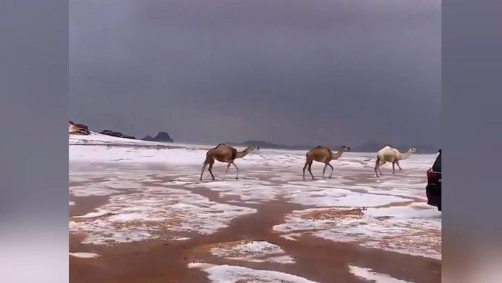 Karla kaplı çölde develerin yürüyüşü izlenme rekorları kırdı G4
