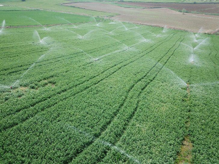 Bilecik’te 2020 yılında 11 bin 700 dekar tarım arazisi sulandı G3