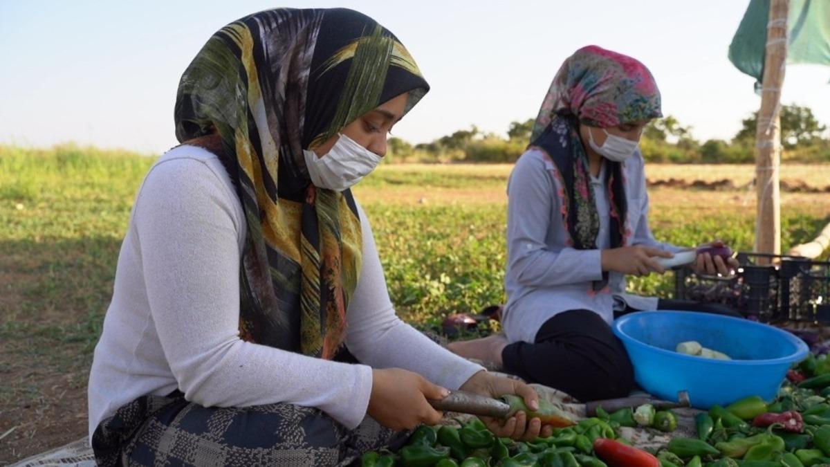 Ezo gelinler tarım okulu ile hayata tutundu