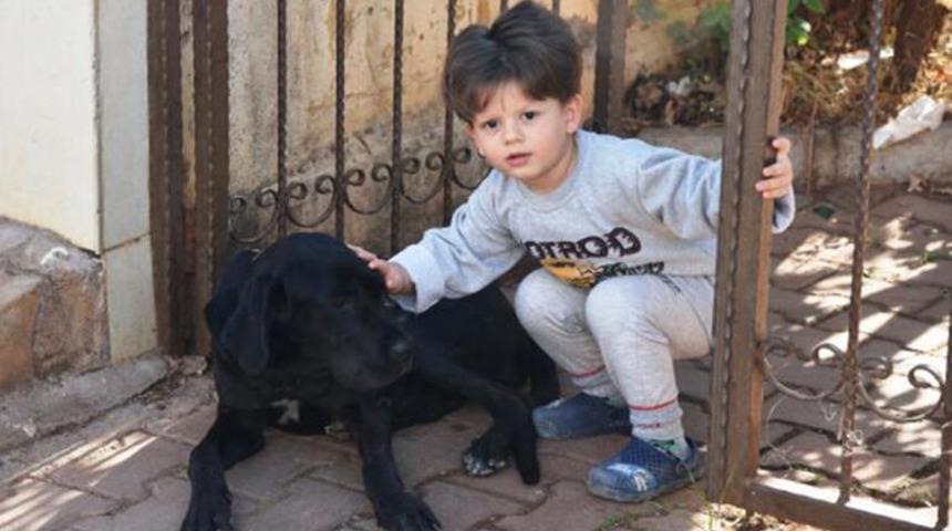 Parmaklığa sıkışan k&ouml;pek kurtarılınca minik Yağız sevin&ccedil;ten zıpladı