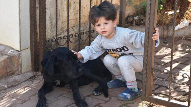 Parmaklığa sıkışan köpek kurtarılınca minik Yağız sevinçten zıpladı